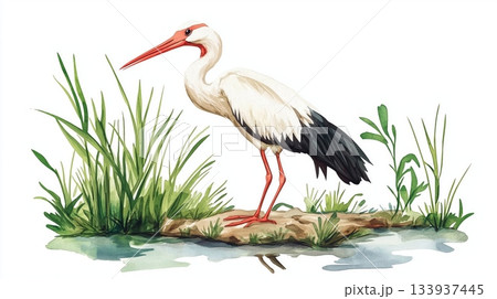 Djoudj National Bird Sanctuary. Djoudj National Bird Sanctuary hand drawn watercolor illustration on white background Djoudj National Bird Sanctuary. Djoudj National Bird Sanctuary hand drawn watercolor illustration on white background 133937445