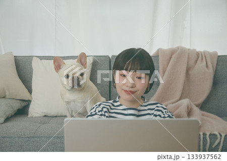 パソコン作業をする女性と見守る犬 パソコン作業をする女性と見守る犬 133937562
