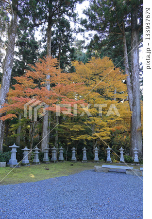 四国霊場第66番札所「雲辺寺」大師堂の紅葉 133937679