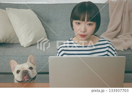 パソコン作業をする女性と見守る犬 133937703