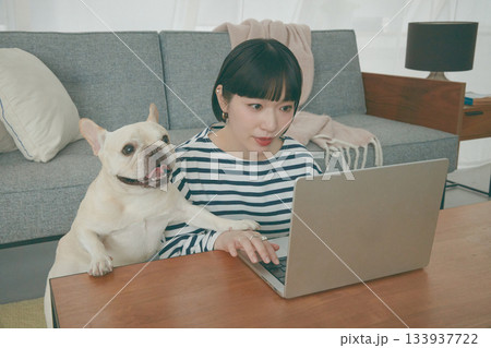 パソコン作業をする女性と見守る犬 パソコン作業をする女性と見守る犬 133937722