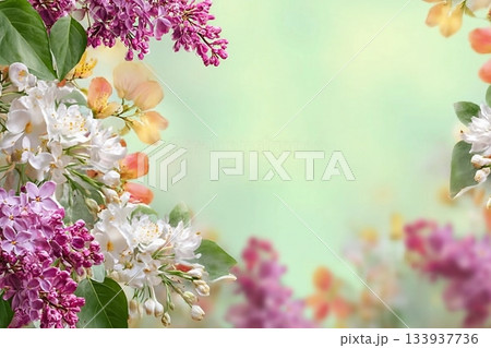 Spring background with beautiful flowers 133937736