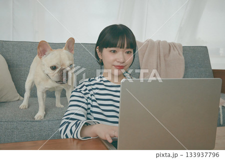 パソコン作業をする女性と見守る犬 パソコン作業をする女性と見守る犬 133937796
