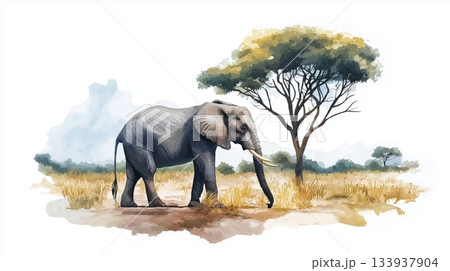 Hwange National Park. Hwange National Park hand drawn watercolor illustration on white background 133937904