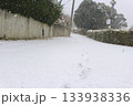 雪の降る小道 雪の降る小道 133938336