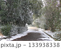 冬の小道 冬の小道 133938338