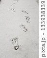 雪の上に残る足跡 雪の上に残る足跡 133938339