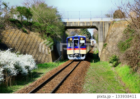 大洗鹿島線を快走する… 鹿島臨海鉄道『8000形』気動車 133938411