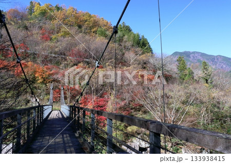 岩屋川渓谷　秋の秋葉橋を渡る　（高知県　仁淀川町別枝） 133938415