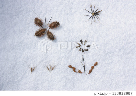 ひっつき虫で描いた絵 133938997