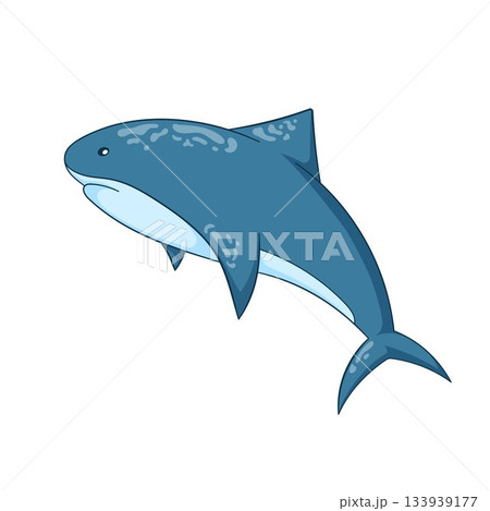 Shark character in cartoon style isolated on a white background. Shark character in cartoon style isolated on a white background. 133939177