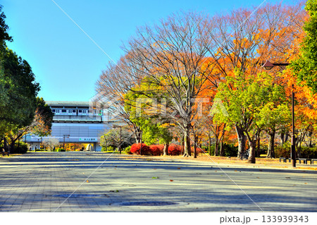 都立 舎人公園／舎人公園駅方面を望む(東京都足立区)【2025.12】 133939343
