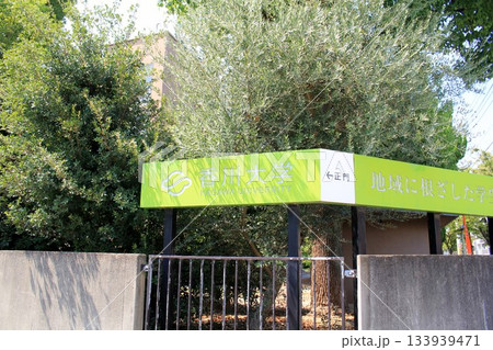 香川大学 133939471