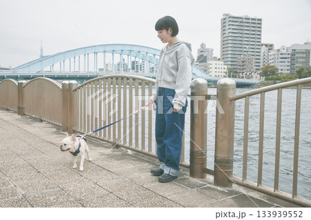 犬の散歩をする女性 133939552