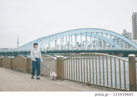 犬の散歩をする女性 133939665