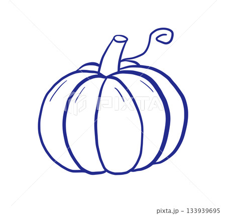 Doodle pumpkin hand drawn illustration. Outline vegetable for Halloween and thanksgiving day 133939695