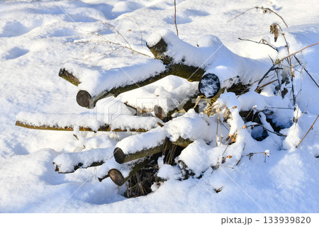 Sunny winter day big snowdrifts felled trees stump and branches under the snow background 133939820