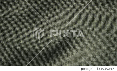 Close-up Dark Olive Green Woven Canvas Fabric Texture Close-up Dark Olive Green Woven Canvas Fabric Texture 133939847