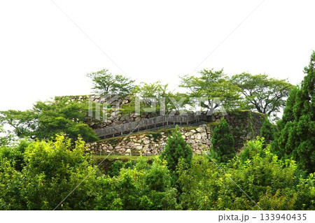 竹田城址 133940435