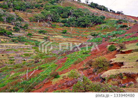 鉄分を多く含む赤い土を歩く、五島列島の文化的景観 鉄分を多く含む赤い土を歩く、五島列島の文化的景観 133940480