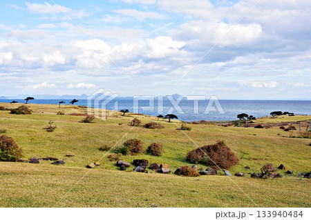長崎県のおすすめの旅行先「野崎島」のサバンナ 133940484