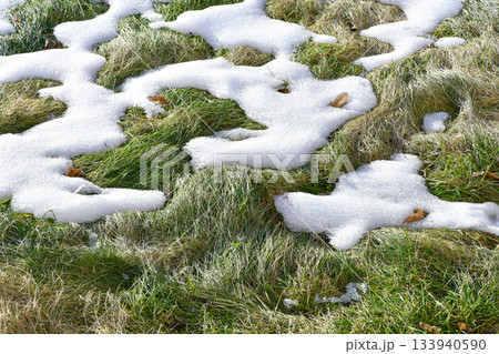 Melted thaw snow mold on the spring lawn grass after winter on the soil. Winter frame loose snow shiny ice background Melted thaw snow mold on the spring lawn grass after winter on the soil. Winter frame loose snow shiny ice background 133940590
