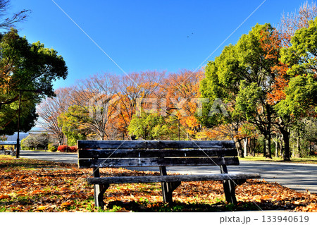 都立 舎人公園/舎人公園駅方面を望む(東京都足立区)【2025.12】 都立 舎人公園/舎人公園駅方面を望む(東京都足立区)【2025.12】 133940619
