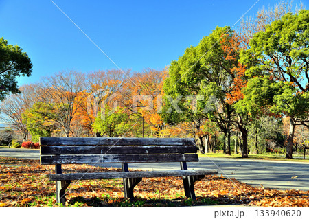 都立 舎人公園／舎人公園駅方面を望む(東京都足立区)【2025.12】 133940620
