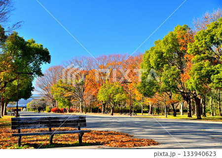 都立 舎人公園/舎人公園駅方面を望む(東京都足立区)【2025.12】 都立 舎人公園/舎人公園駅方面を望む(東京都足立区)【2025.12】 133940623