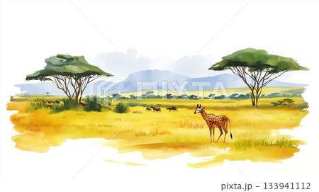 Maasai Mara National Reserve. Maasai Mara National Reserve hand drawn watercolor illustration on white background Maasai Mara National Reserve. Maasai Mara National Reserve hand drawn watercolor illustration on white background 133941112