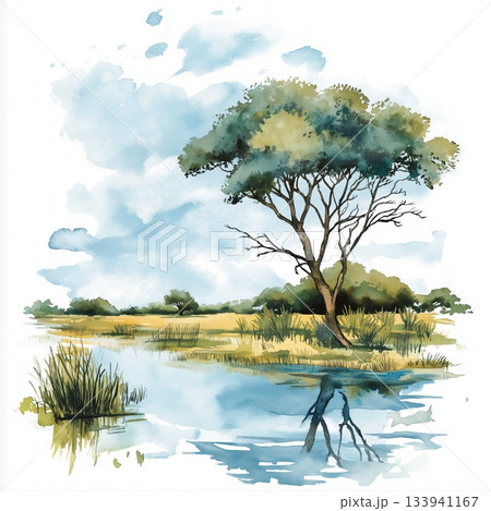 Okavango Delta. Okavango Delta hand drawn watercolor illustration on white background Okavango Delta. Okavango Delta hand drawn watercolor illustration on white background 133941167