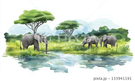 Queen Elizabeth National Park. Queen Elizabeth National Park hand drawn watercolor illustration on white background 133941191