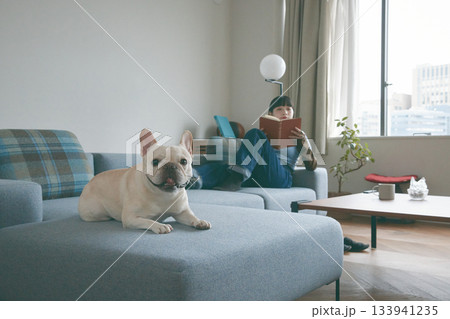 ソファでくつろぐ犬と女性 ソファでくつろぐ犬と女性 133941235