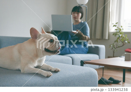 ソファでくつろぐ犬と女性 133941238