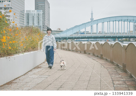 犬の散歩をする女性 犬の散歩をする女性 133941339