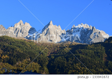 シャモニー針針 シャモニー針針 133941672