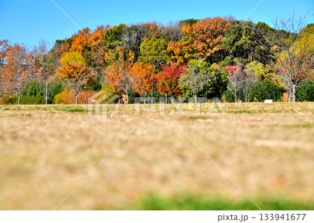 都立 舎人公園／みんなの広場(東京都足立区)【2025.12】 133941677
