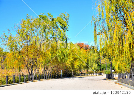 都立 舎人公園／水鳥の池周辺(東京都足立区)【2025.12】 133942150
