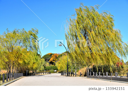 都立 舎人公園/水鳥の池周辺(東京都足立区)【2025.12】 都立 舎人公園/水鳥の池周辺(東京都足立区)【2025.12】 133942151
