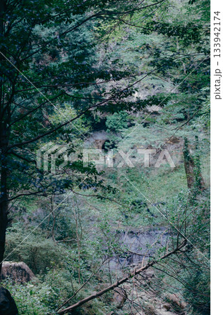 深い森に囲まれた神秘的な風景 深い森に囲まれた神秘的な風景 133942174