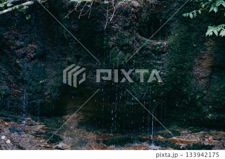 深い森に囲まれた神秘的な風景 深い森に囲まれた神秘的な風景 133942175