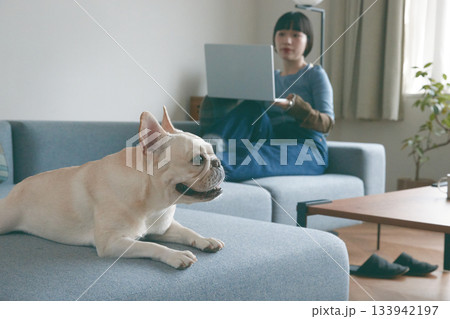 ソファでくつろぐ犬と若い女性 133942197