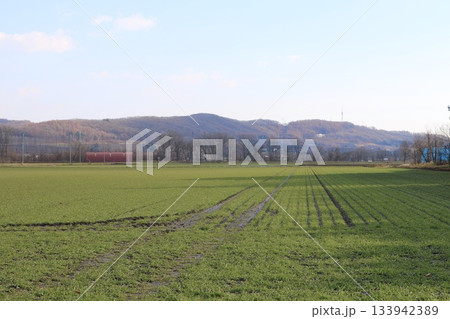 畑のある風景 133942389