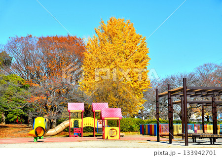 都立 舎人公園/幼児公園周辺(東京都足立区)【2025.12】 都立 舎人公園/幼児公園周辺(東京都足立区)【2025.12】 133942701