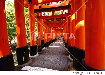 京都府 伏見稲荷大社 千本鳥居(月日之宮本宮付近) 京都市伏見区深草藪之内町 2022 年 2月 京都府 伏見稲荷大社 千本鳥居(月日之宮本宮付近) 京都市伏見区深草藪之内町 2022 年 2月 133942831