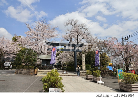 東京都世田谷区松陰神社の春の風景 東京都世田谷区松陰神社の春の風景 133942984