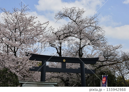 東京都世田谷区松陰神社の春の風景 東京都世田谷区松陰神社の春の風景 133942988