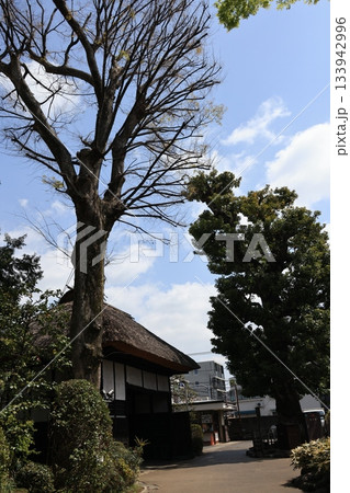 東京都世田谷区の世田谷代官屋敷の風景 東京都世田谷区の世田谷代官屋敷の風景 133942996