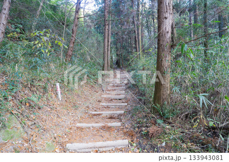 ダイヤモンドトレイル北入口から二上山へ向かう登山道（金剛山地） 133943081