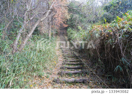 ダイヤモンドトレイル北入口から二上山へ向かう登山道(金剛山地) ダイヤモンドトレイル北入口から二上山へ向かう登山道(金剛山地) 133943082